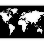 Obraz metalowy mapa świata DES81 100 cm