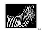 Obraz metalowy Zebra DES083 45 cm