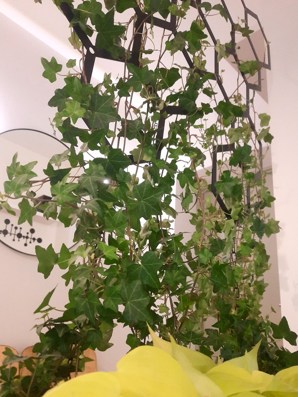 Dekoracja ścienna metalowa na rośliny pnące Heksagon 73x104 cm - obrazek 4