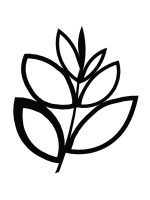 Dekoracja ścienna metalowa na rośliny pnące Trejaż Floral M 55x67 cm